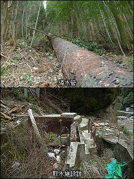 ���A���d���̓����ǂƎ搅�{��