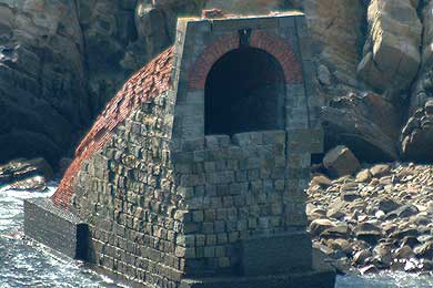 �G�X�q�B�̍B��